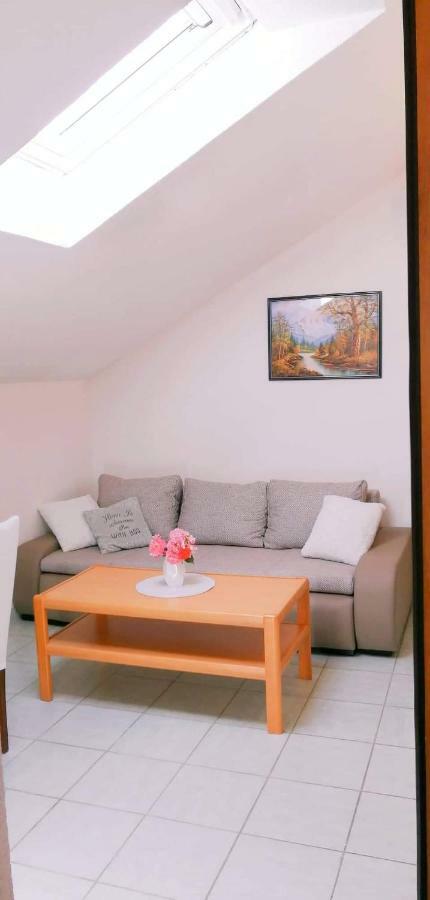 Apartments Nevistic Tribalj  Экстерьер фото